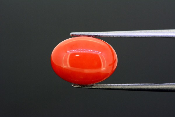 6.23 cts Natural Coral (Moonga)