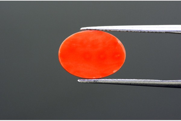6.23 cts Natural Coral (Moonga)