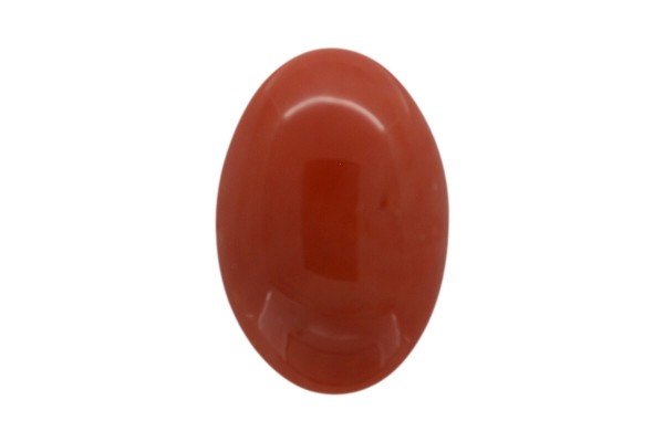 19.74 cts Natural Coral (Moonga)