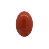 19.74 cts Natural Coral (Moonga)
