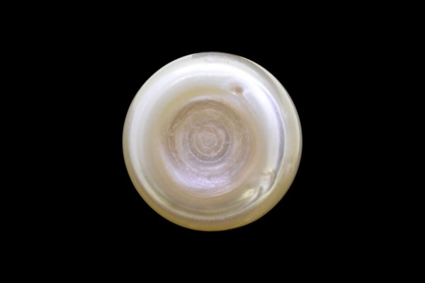4.16 cts Natural Pearl (Moti)