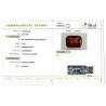 IIGJ Research & Laboratories | GJEPC Report for 7.26 cts Natural Hessonite Garnet (Gomedh)