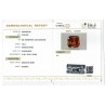 IIGJ Research & Laboratories | GJEPC Report for 7.56 cts Natural Hessonite Garnet (Gomedh)