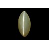 3.61 cts Natural Cats Eye (Lehsunia)