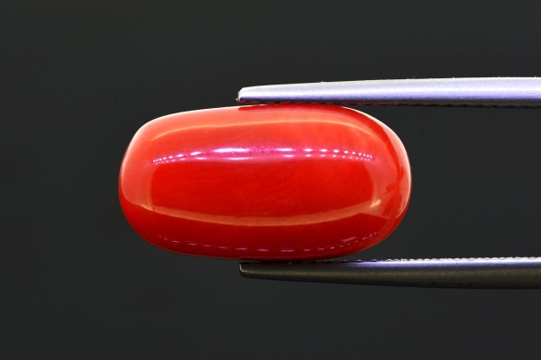 8.67 cts Natural Coral (Moonga)