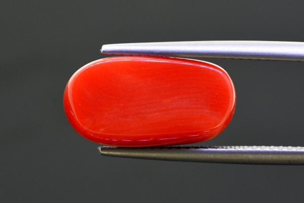 8.67 cts Natural Coral (Moonga)