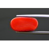8.67 cts Natural Coral (Moonga)