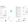 International Gemological Institute Report for 6.7 cts Natural Emerald - Colombia (Panna) - Earring Pair