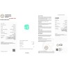  Report for 6.7 cts Natural Emerald - Colombia (Panna) - Earring Pair