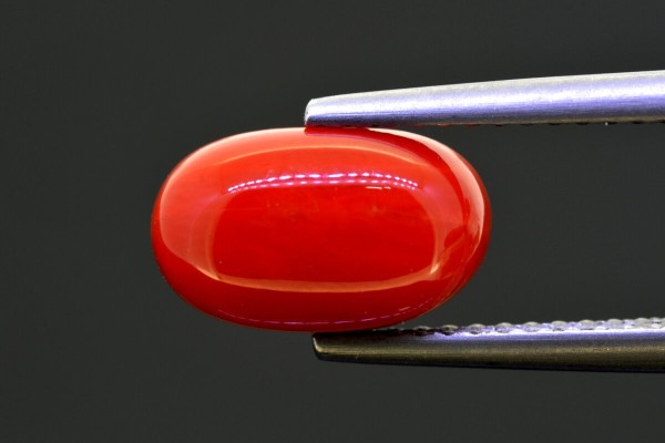 2.86 cts Natural Coral (Moonga)