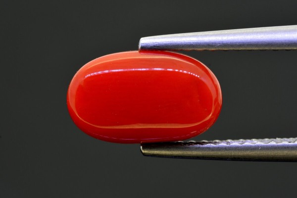 2.86 cts Natural Coral (Moonga)