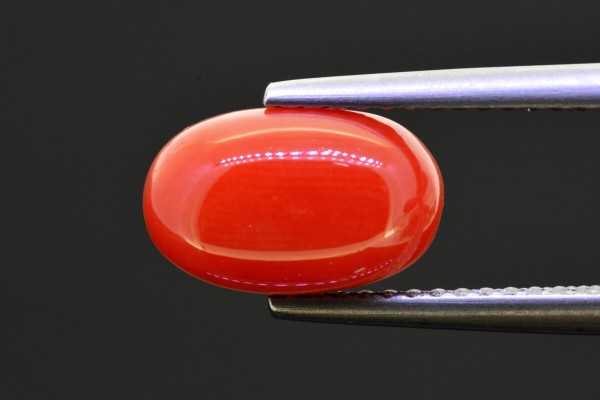 2.91 cts Natural Coral (Moonga)