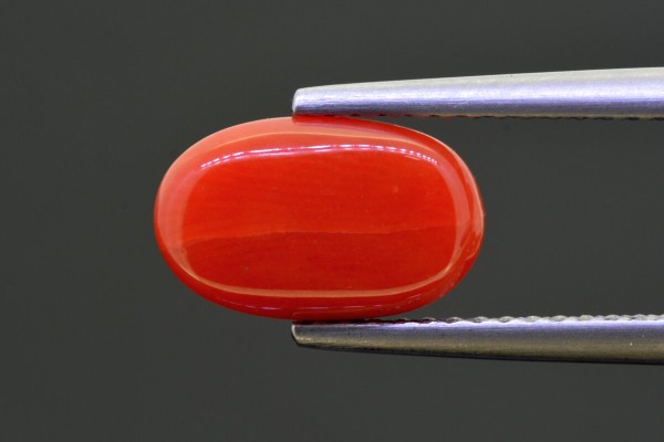 2.91 cts Natural Coral (Moonga)