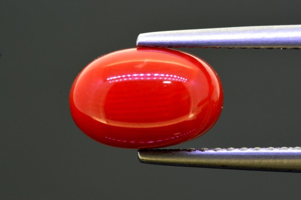 2.98 cts Natural Coral (Moonga)