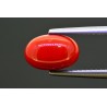 2.98 cts Natural Coral (Moonga)