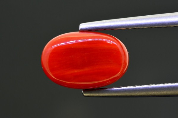 2.98 cts Natural Coral (Moonga)