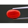 2.98 cts Natural Coral (Moonga)