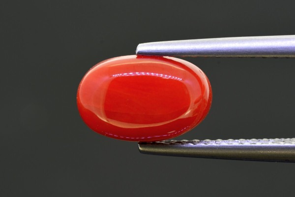 2.46 cts Natural Coral (Moonga)