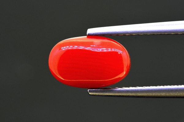 2.46 cts Natural Coral (Moonga)