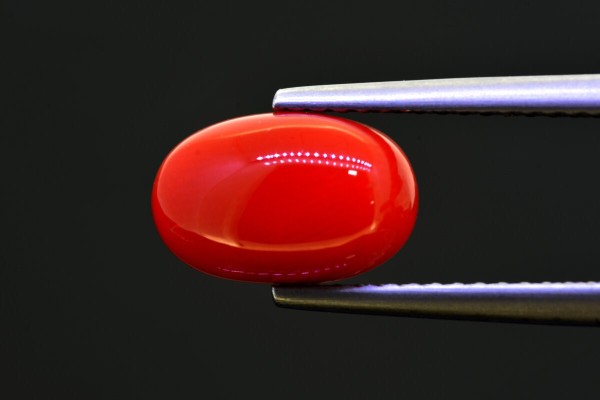 2.88 cts Natural Coral (Moonga)