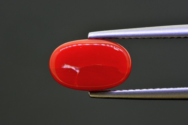 2.88 cts Natural Coral (Moonga)