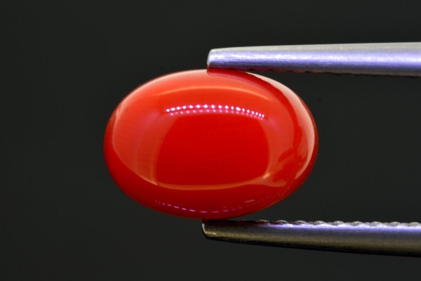 2.85 cts Natural Coral (Moonga)