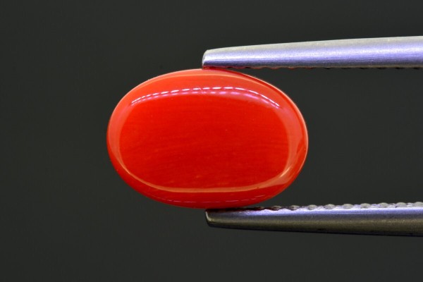 2.85 cts Natural Coral (Moonga)