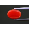 2.85 cts Natural Coral (Moonga)