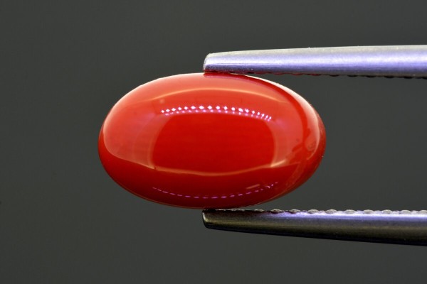 2.82 cts Natural Coral (Moonga)