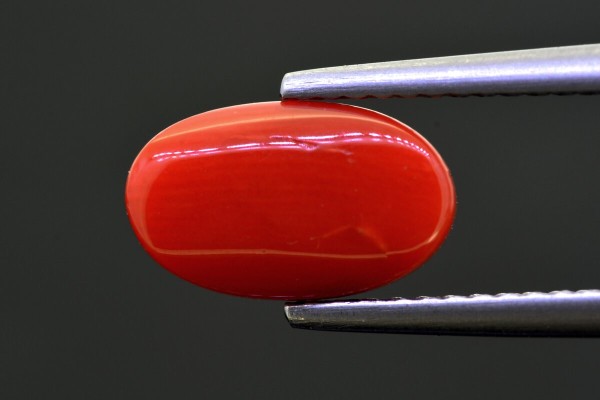 2.82 cts Natural Coral (Moonga)