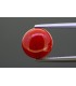 3.14 cts Natural Coral (Moonga)