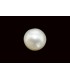 5.49 cts Natural Pearl - Moti (SKU:90054945)