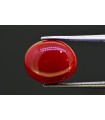 5.34 cts Natural Coral (Moonga)