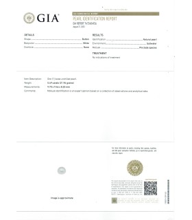 5.49 cts Natural Pearl - Moti (SKU:90054945)