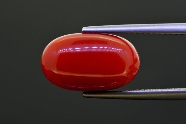 8.78 cts Natural Coral (Moonga)