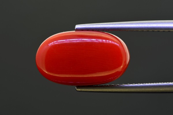 8.78 cts Natural Coral (Moonga)