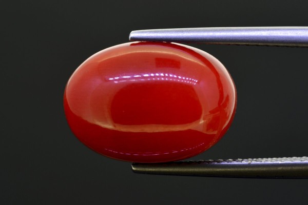 10.97 cts Natural Coral (Moonga)