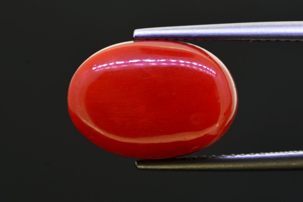 10.97 cts Natural Coral (Moonga)