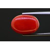 10.97 cts Natural Coral (Moonga)