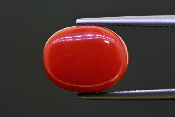 8.51 cts Natural Coral (Moonga)