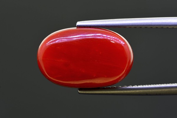 10.63 cts Natural Coral (Moonga)