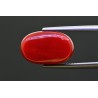 10.63 cts Natural Coral (Moonga)