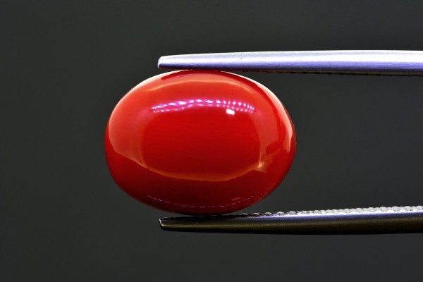 8.45 cts Natural Coral (Moonga)