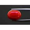 8.45 cts Natural Coral (Moonga)