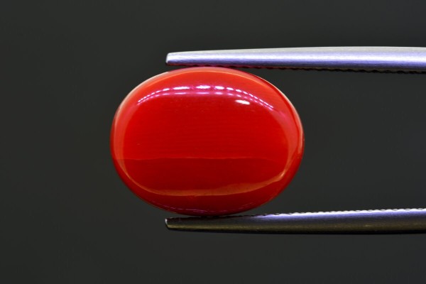 8.45 cts Natural Coral (Moonga)