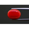 8.45 cts Natural Coral (Moonga)