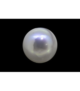 3.56 cts Cultured Pearl - Moti (SKU:90151170)