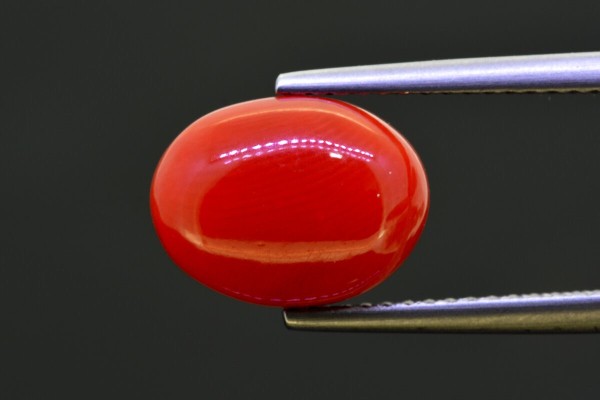 4.56 cts Natural Coral (Moonga)