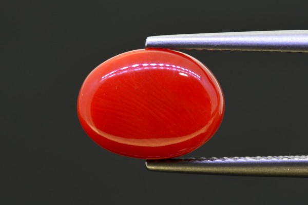 4.56 cts Natural Coral (Moonga)