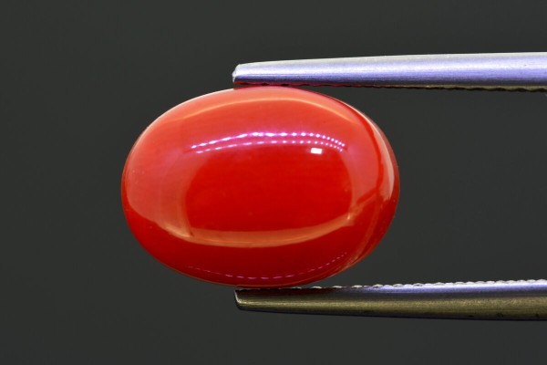 4.85 cts Natural Coral (Moonga)